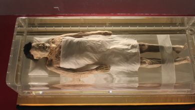 The tomb and the preserved body of Lady Dai