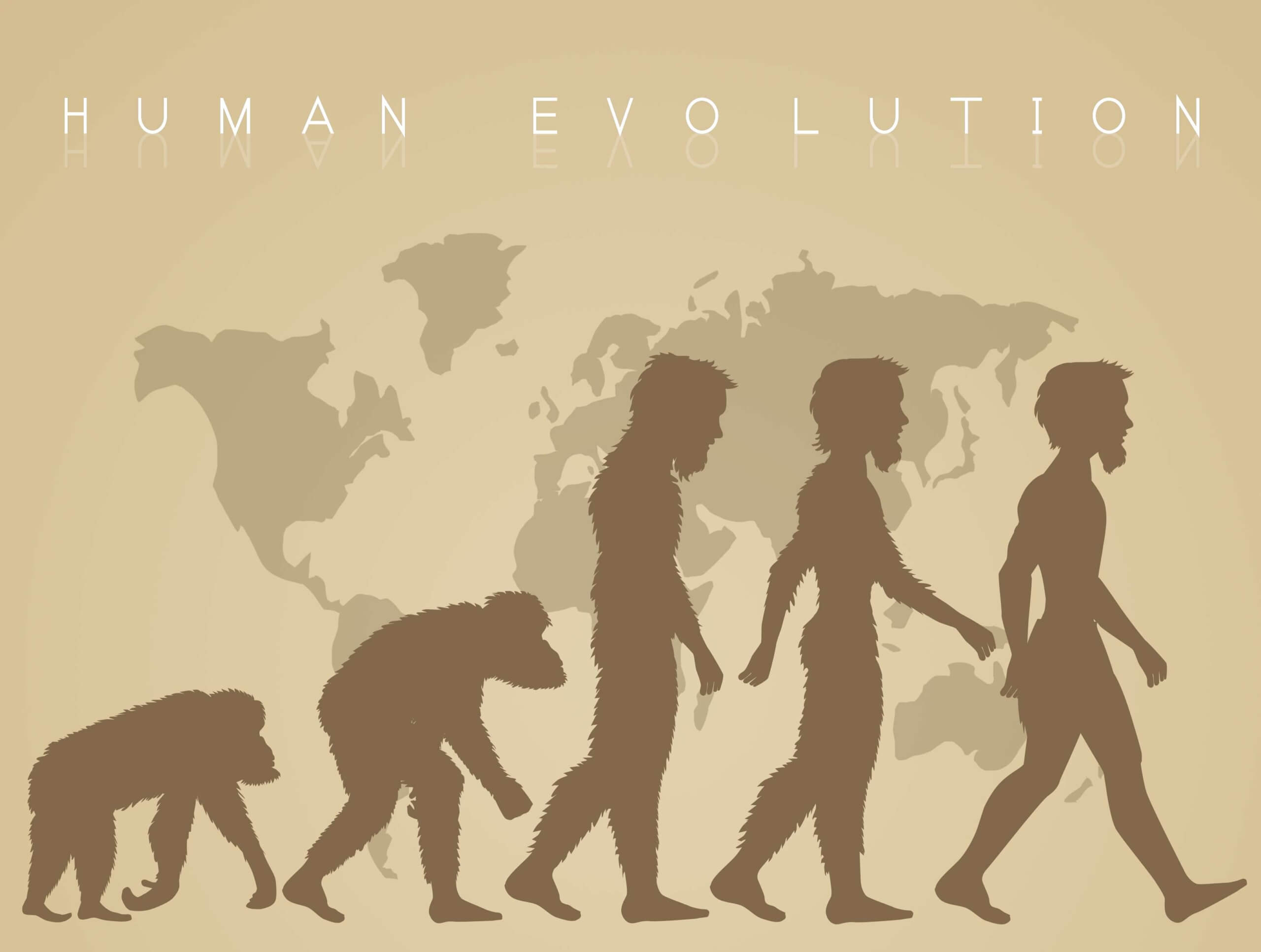 Illustration of human evolution. ©Image Credit: Adrenalinapura | Licensed from DreamsTime.com 