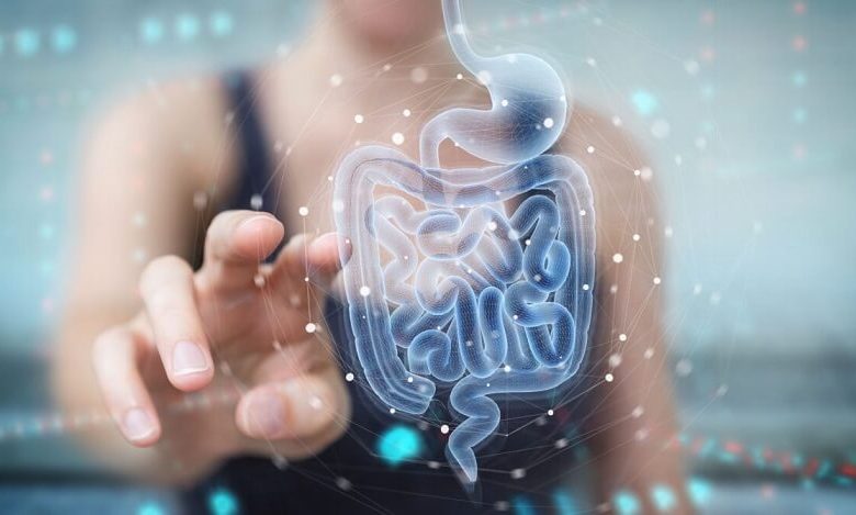 Ask a Doctor: What Is Leaky Gut?