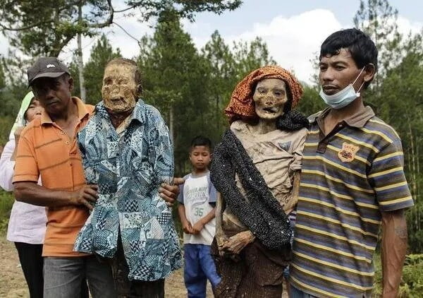 Toraja, The People Of The Walking D.e.a.d.