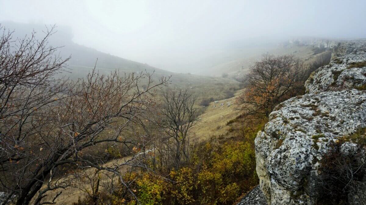 Bosnia’s forest regions where the ancient rings and rocks are found. ©Wikimedia Commons