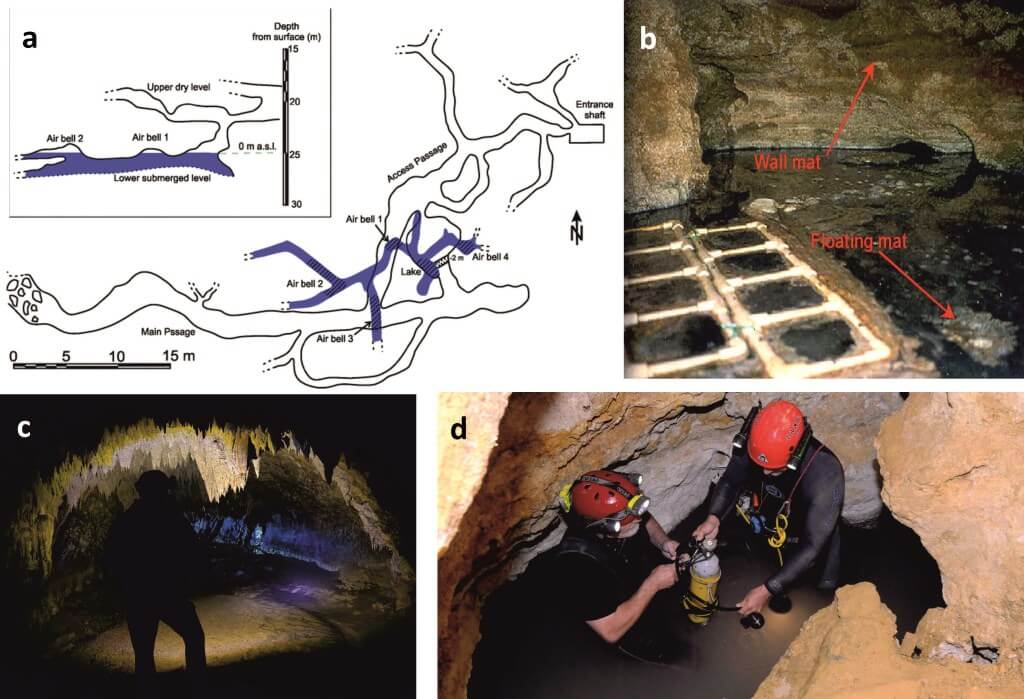 Description: a) Map of cave; b) The nutritive mat – base for the whole cave trophic chain; c,d) scientist Cristian Lascu, the discoverer of the cave, during the first stages of research.
