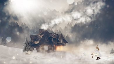 A Cabin In The Middle Of The Winter
