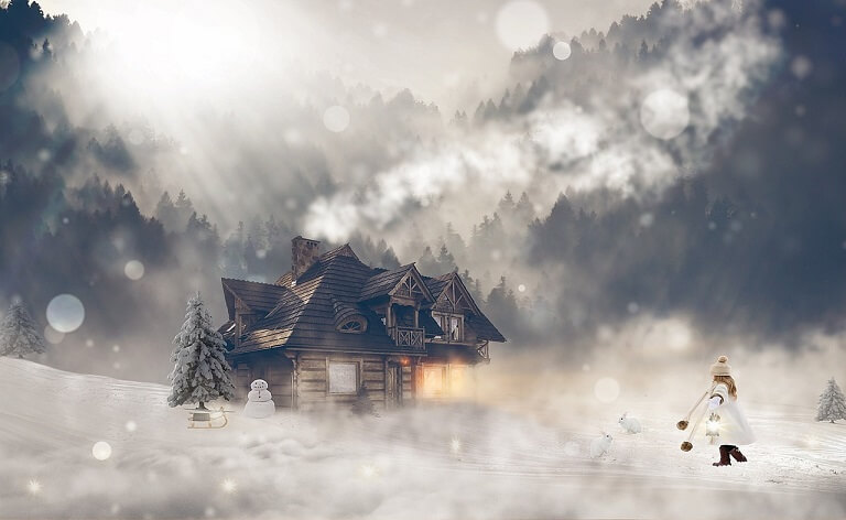A Cabin In The Middle Of The Winter
