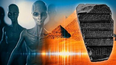 The Mystery of The Palermo Stone: Evidence of The ‘Ancient Astronauts’ In Ancient Egypt?