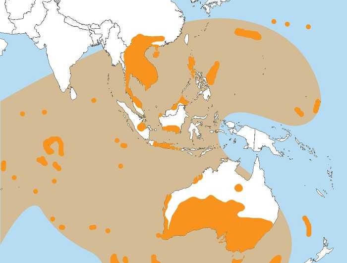 A map of the Australasian Strewnfield, where tektites from a meteor impact are spread over the Earth’s surface. Image Credit: Wikimedia Commons