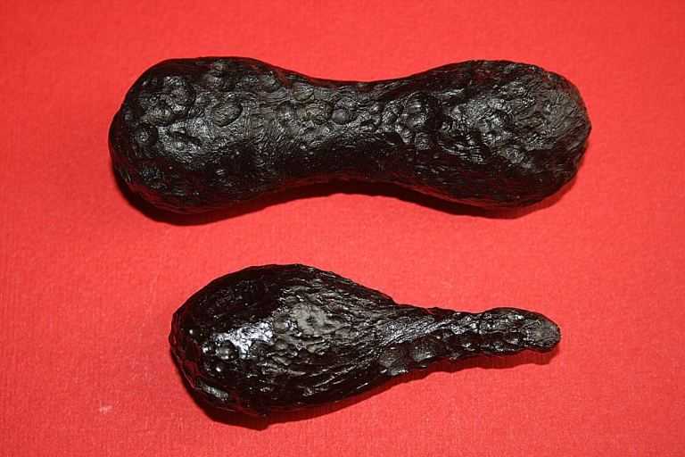 Two common tektite shapes: dumbbell and teardrop. Image Credit: Wikimedia Commons