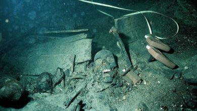 Ancient DNA Paints A New Picture of The Viking Age