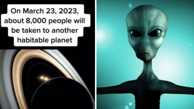The Craziest Forecast For 2023: “Champions” Will Rule The Earth, Only 8,000 of Us Will Remain