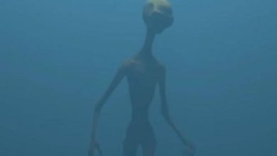 “Aliens Are Superhuman, Among Us And Control The Human Mind” – Unbelievable Statement From A University Professor