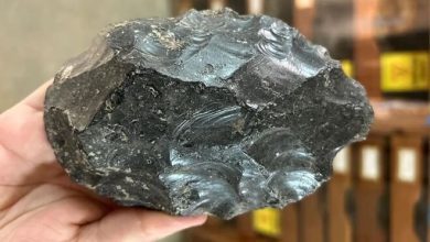 1.2 Million Year Old Obsidian Axe Factory Found In Ethiopia