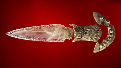 This mythical looking dagger may have played a symbolic role in prehistoric Iberian society.