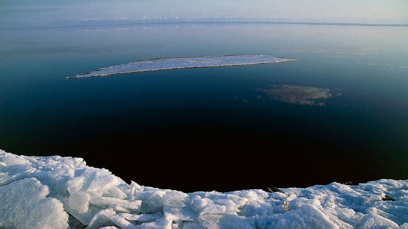 Lake Baikal is the only home of the nerpa, or Lake Baikal seal, the only freshwater seal in the world. DEA / C. SAPPA/GETTY