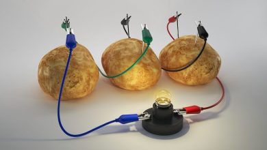 A Potato Battery Can Light Up A Room For Over A Month
