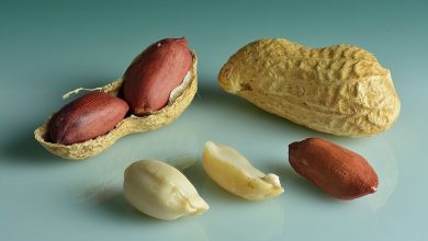 Studies have found that eating peanuts can not only reduce the risk of cardiovascular and cerebrovascular diseases, but also have beneficial effects on cognitive function and stress response. (Shutterstock)