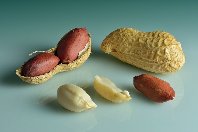 Studies have found that eating peanuts can not only reduce the risk of cardiovascular and cerebrovascular diseases, but also have beneficial effects on cognitive function and stress response. (Shutterstock)