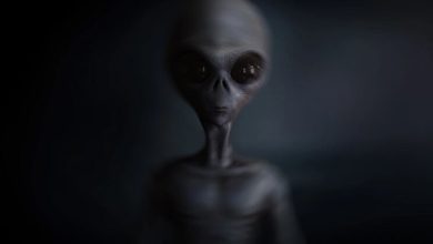 Alien Message To Human Race – “Do You Wish That We Show Up?"