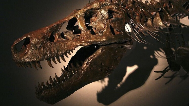 T. Rex Didn't Kiss & Tell, But May Have Had Lips