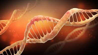 Damaged DNA (Festa/Shutterstock)