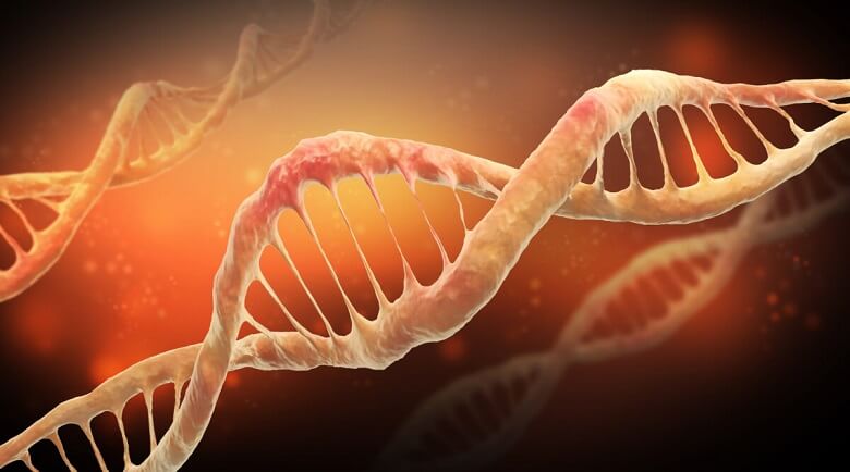 Damaged DNA (Festa/Shutterstock)