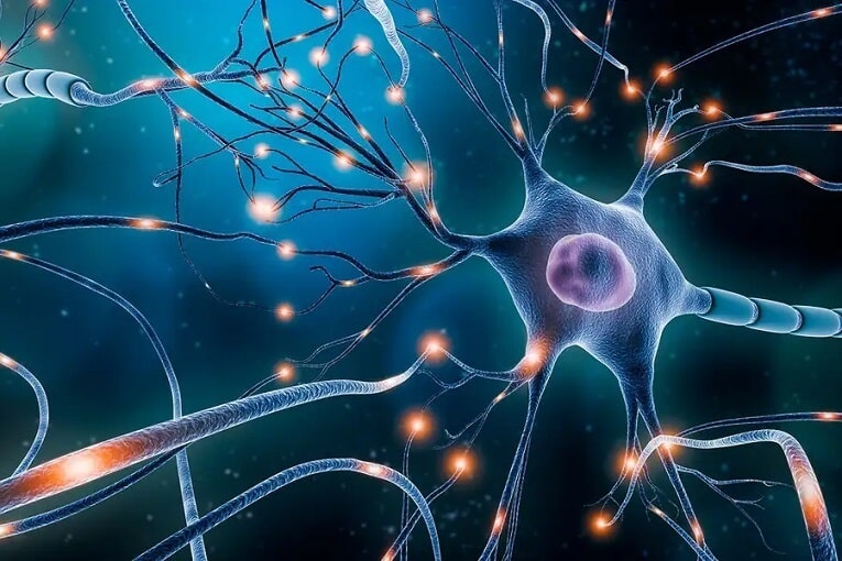 Close-up image of a laboratory setting with researchers diligently studying brain cells in their quest to unravel the origins of consciousness.