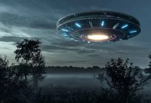 Massive UFO hovering over the forest