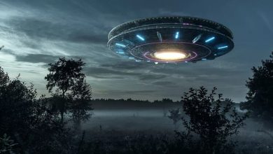 Massive UFO hovering over the forest