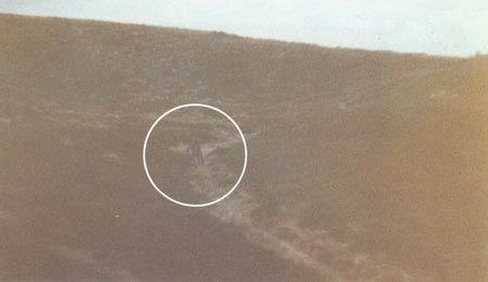 Alien photograph captured by British police officer Philip Spencer in 1987.