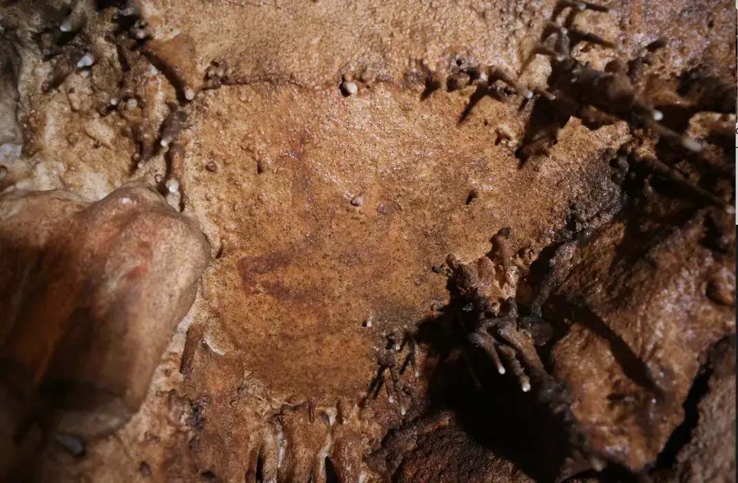 The painted head of an auroch, an extinct wild bull, was the first painting archaeologists discovered in the cave.