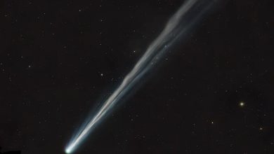 Comet Nishimura, as imaged on September 7. On Tuesday, the comet will pass within 78 million miles of Earth, the closest it will get for more than 400 years.