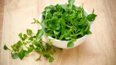 Watercress: The ‘Most Nutritious’ Vegetable, Lowers Chronic Disease Risks, Strengthens Bones, Improves Gut Health