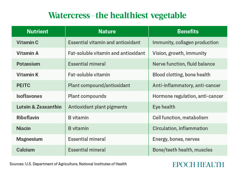 Watercress: The 'Most Nutritious' Vegetable, Lowers Chronic Disease Risks, Strengthens Bones, Improves Gut Health