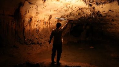 One of the archaeologists examines a partially flooded chamber of the cave that holds many of the drawings.
