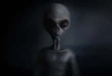 Grey Aliens Showed This Woman The Future of Earth! (Video)