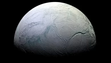A photograph of Enceladus, an icy moon of Saturn, taken by NASA's Cassini probe.