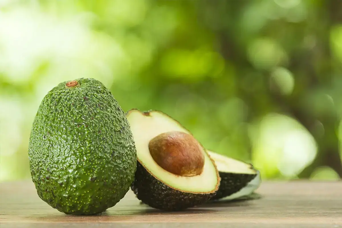 Avocado has extremely high nutritional value, but some people are not suited to eating it.