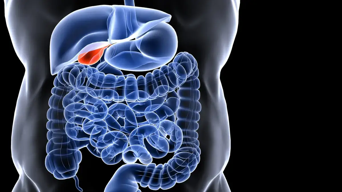 Problems associated with the gallbladder are common after large meals, like those around the holidays associated with an increase in doctor visits.