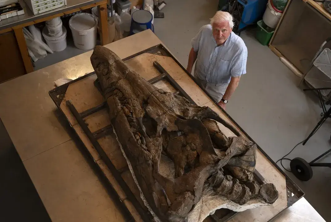David Attenborough stands next to the recently discovered pliosaur fossil at the Etches Collection Museum of Jurassic Marine Life in Kimmeridge, England. BBC Studios