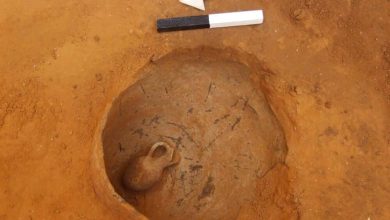 Archaeologists in Israel Unearth 3,800-Year-Old Skeleton of Baby Buried in a Jar