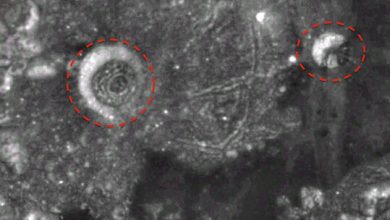 Alien “City” Found On The Moon State UFOlogists: Here Is How To Find It Yourself