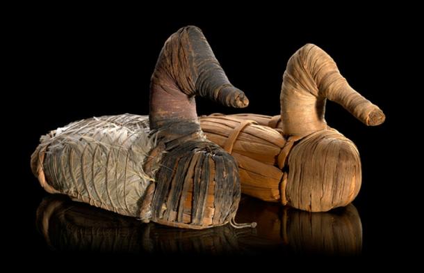 Duck decoys found in Lovelock Cave from circa 400 BC to 100 AD, now on display at the National Museum of the American Indian. (Smithsonian)