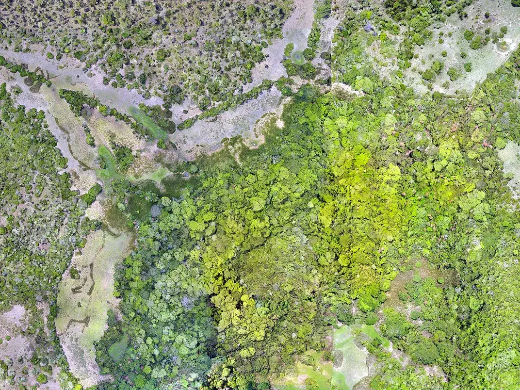 A photo mosaic of the Landívar site—made from drone footage. The forest canopy interrupts the view of the landscape, but lidar can cut through the trees. H. Prümers / DAI