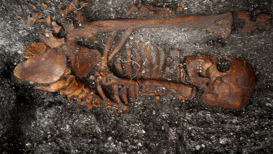 A 2,000-year-old human skeleton found at the Jabuticabeira II burial site in Brazil.