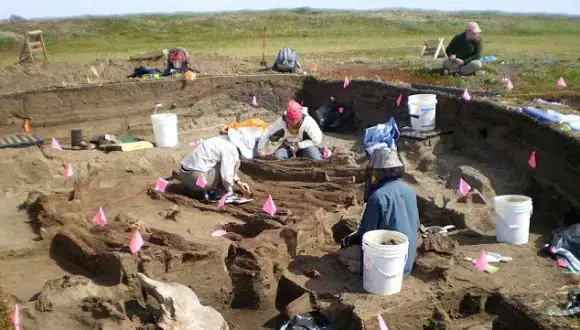 Archaeologists working on Rising Whale, Alaska. 