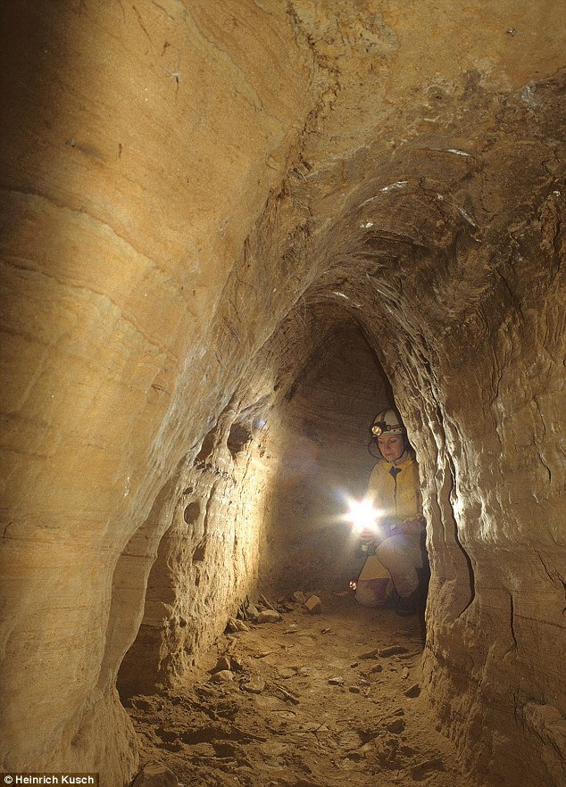Evidence of Stone Age tunnels has been found under hundreds of Neolithic settlements all over Europe - the fact that so many have survived after 12,000 years shows the original tunnel network must have been huge