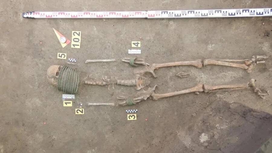 An overview of a woman’s skeleton found in the cemetery. 