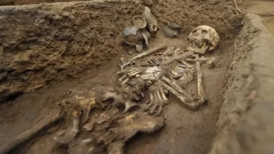 Astonished Archaeologists: “Giants’ Tombs Found In Crimea” (Video)