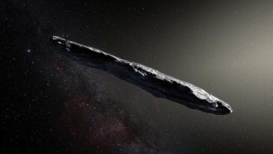 Professor From Harvard’s Department of Astronomy: The Alien Probe That Visited Us In 2017 Left A Message For The Scientific Community