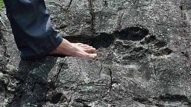 A Massive, 200-Million-Year-Old Footprint Proves Giants Existed?