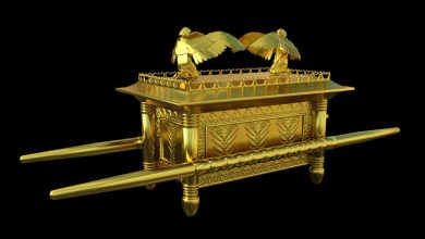 A Red Heifer Sacrifice Is Coming, But The Discovery of The Ark of The Covenant Will Be Even More Important